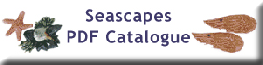 seascapes.PDF